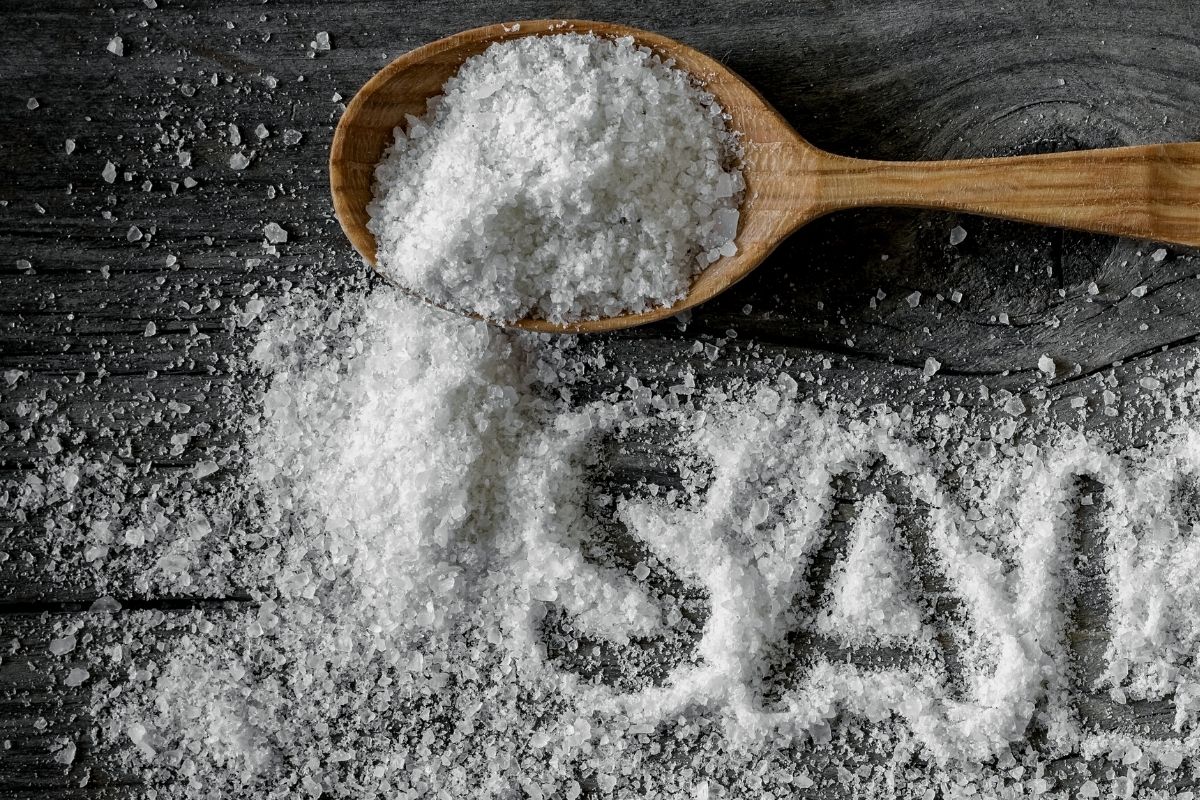 Então, como usar sal para matar pulgas e carrapatos?