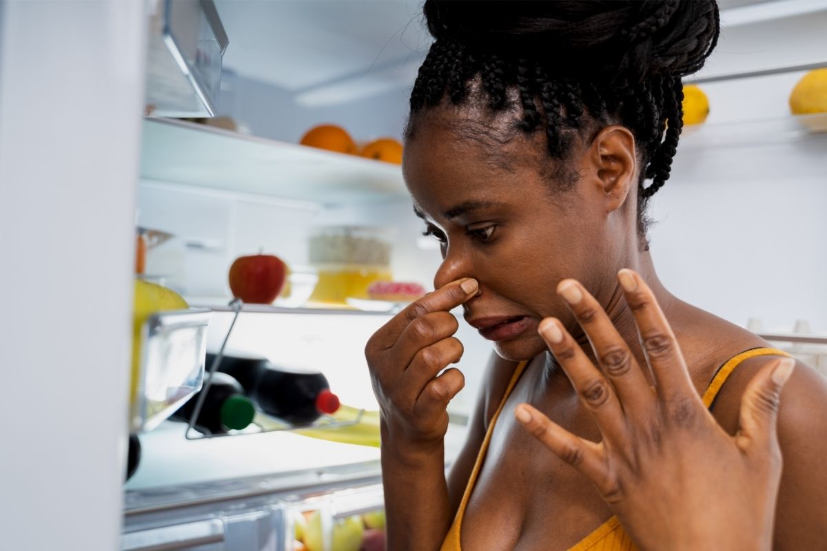 Como tirar mau cheiro de dentro da geladeira — Reprodução Canva Pró.
