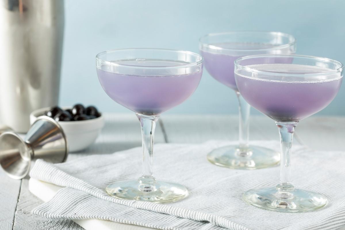 Drink Aviation: veja como preparar essa bebida mista clássica e deliciosa 