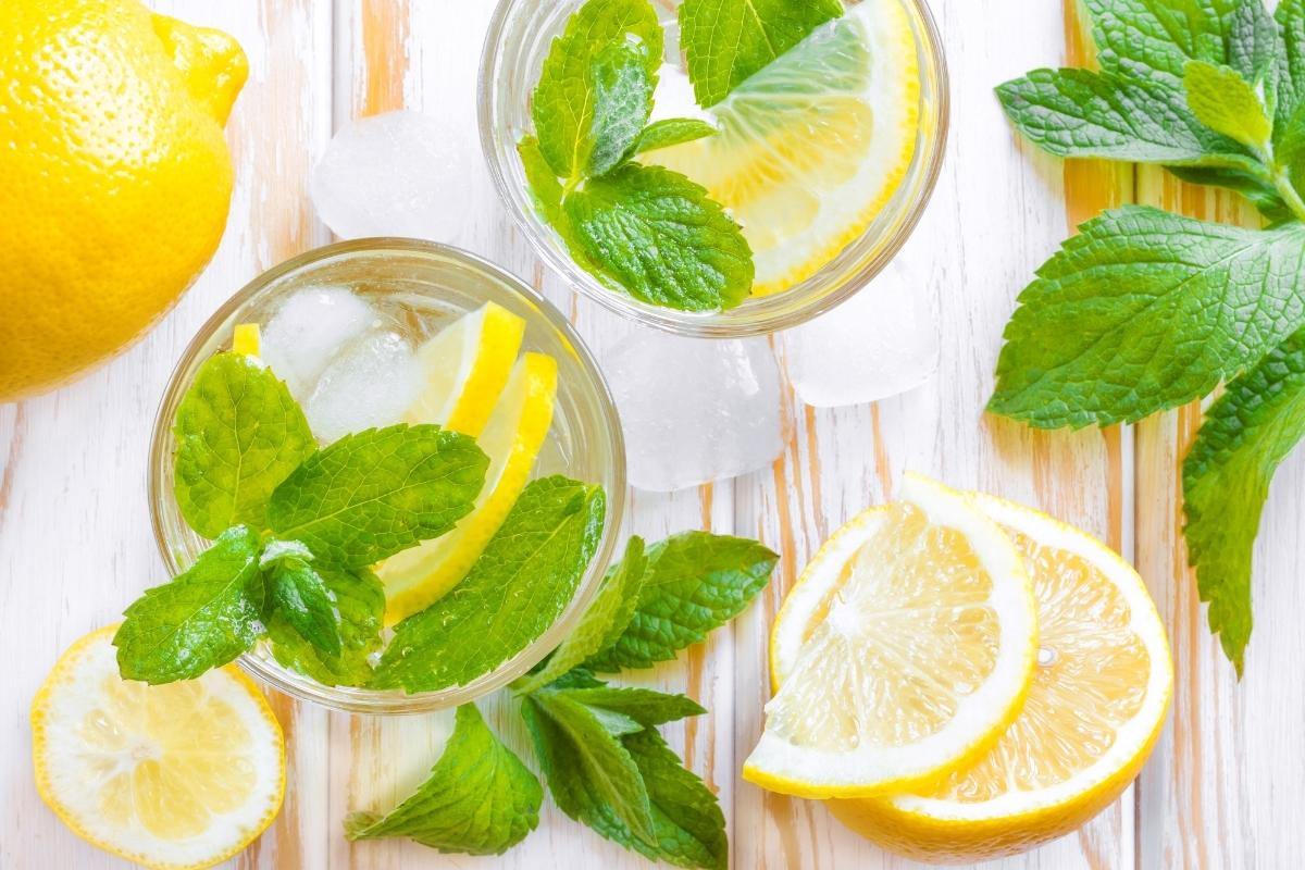 Para saborear hoje mesmo uma bebida mista sem álcool: veja como fazer o Drink de Limão -