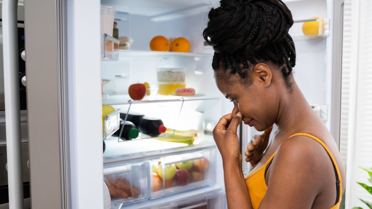 Dicas infalíveis de como evitar mau cheiro dentro da geladeira; aprenda agora e resolva esse problema - Foto: Canva