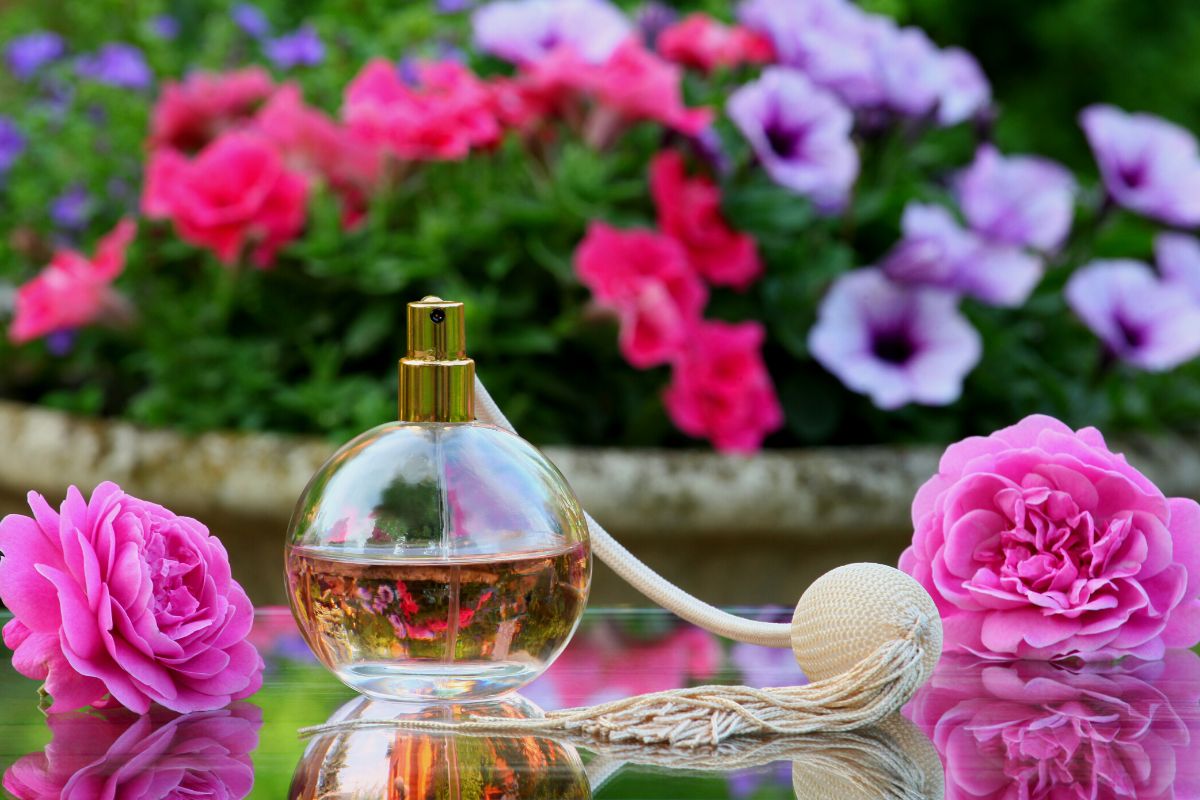 Como passar perfume para outro frasco? — Foto: Canva Pró