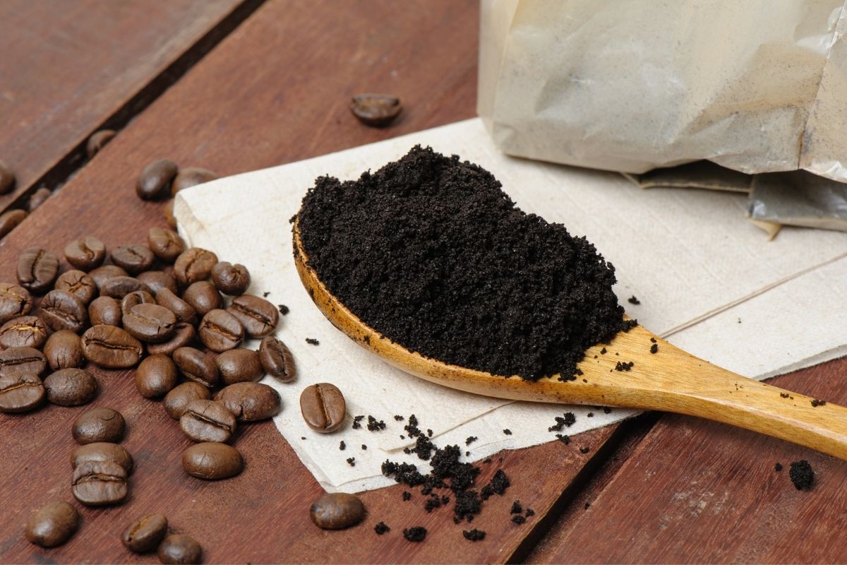 bicarbonato de sódio com borra de café - Reprodução Canva