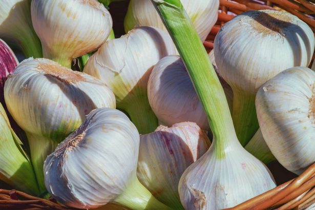 Como plantar alho em vasos: aprenda de um jeito simples e rápido! (Reprodução: canva)