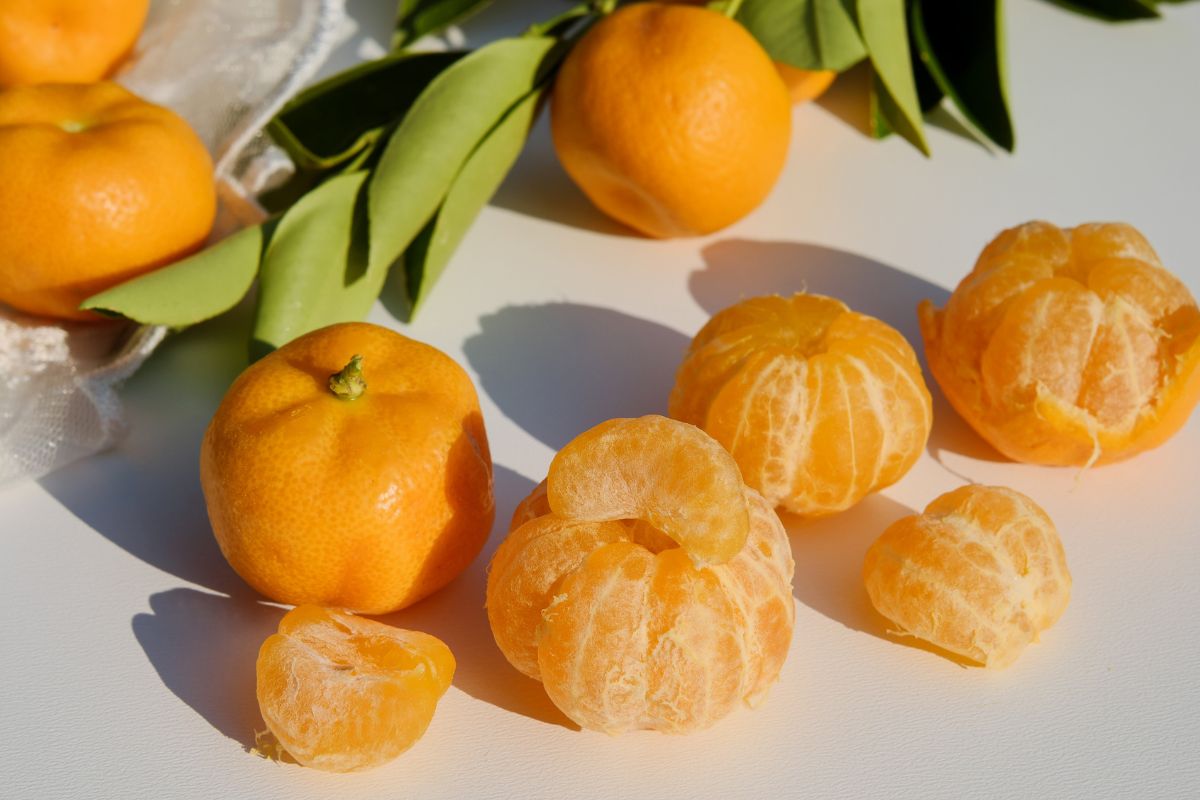 Quer um reforço para sua imunidade? Conheça os benefícios do suco de tangerina natural e saiba como preparar essa deliciosa bebida - Reprodução: Canva