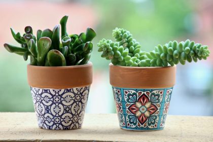Jardim bonito, bem cuidado e plantas saudáveis: saiba como escolher vaso para plantas com um guia prático - Reprodução: Canva