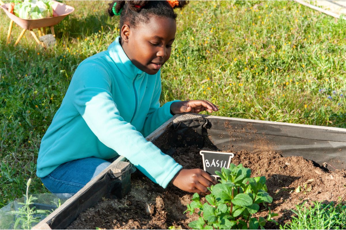 É iniciante no mundo da jardinagem? Leia este artigo e veja como é fácil aprender como cultivar um jardim começando do zero - Reprodução: Canva 