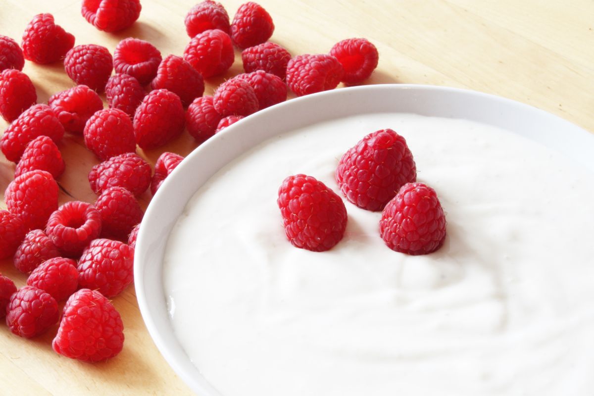 Quer aprender uma receita fácil e saudável? Leia esta matéria e saiba como fazer iogurte natural com dois ingredientes - Reprodução: Canva 