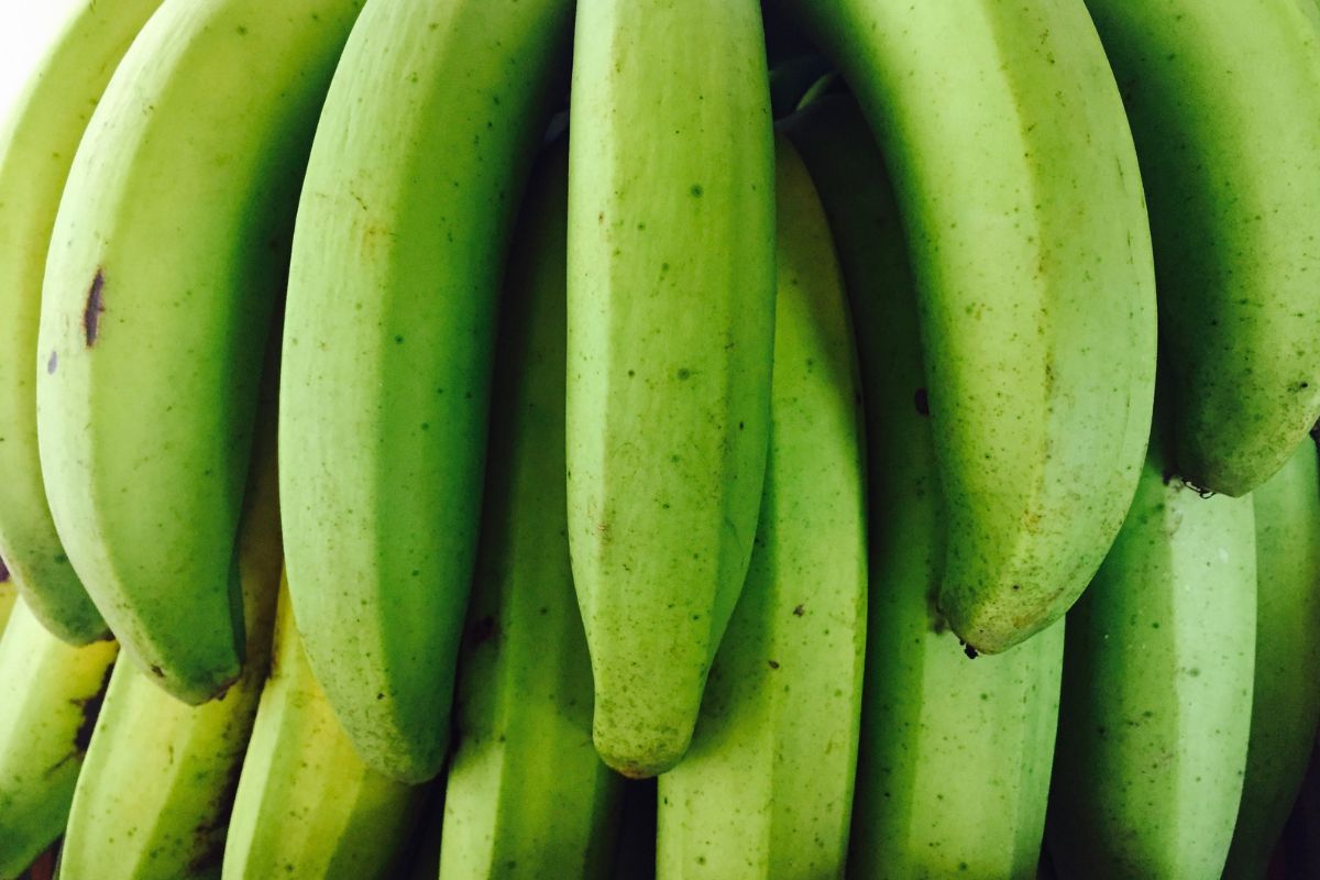 Será que existe um alimento capaz de combater o mau humor e ainda ajudar a perder peso? Descubra para que serve a biomassa de banana verde e surpreenda-se - Reprodução: Canva
