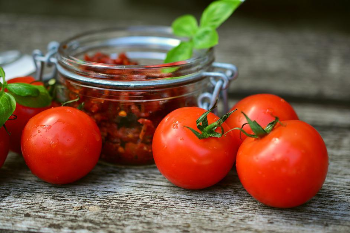 Conheça os benefícios da conserva de tomate para a sua saúde agora mesmo