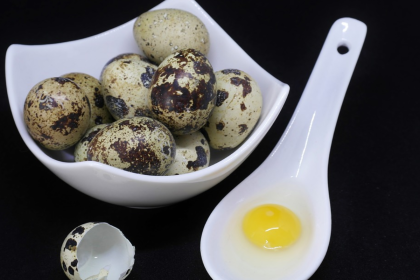 Conheça os benefícios do ovo de codorna para a sua saúde e nunca mais deixe de comê-lo (imagem: pexels)