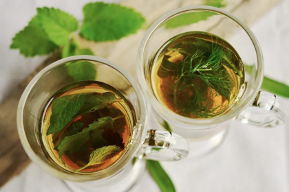 Chá de hortelã: conheça os seus benefícios para a saúde e como preparar essa infusão (imagem: pixabay)