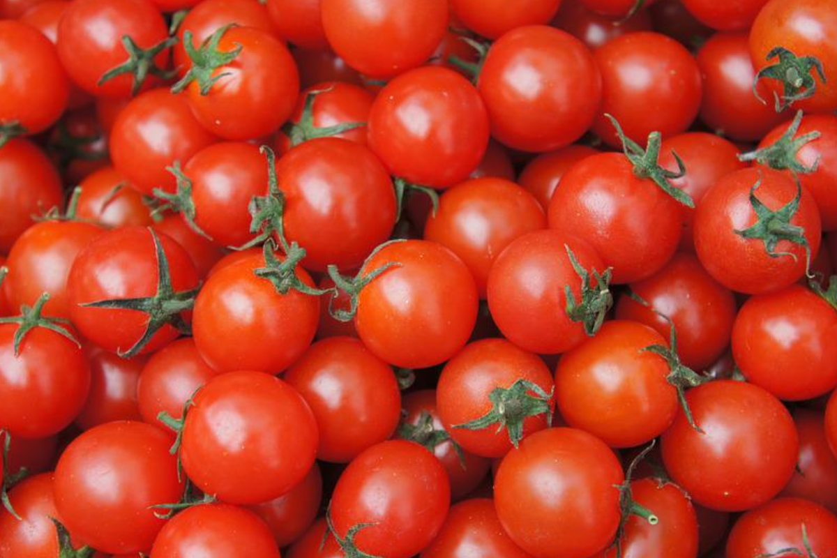 Conheça o tomate-cereja e todos os benefícios desse alimento versátil (imagem: pixabay)