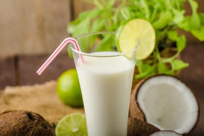 Bebida leite de onça: veja o passo a passo desse drink simples e delicioso
