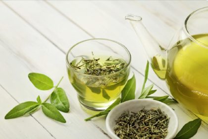 Benefícios do chá verde, aprenda mais sobre esta bebida e tenha uma rotina mais saudável (Foto: Canva Pro)
