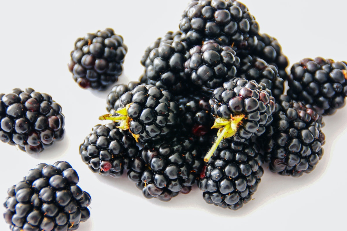 Benefícios da amora: conheça tudo que essa frutinha deliciosa pode fazer por você (imagem: pixabay)