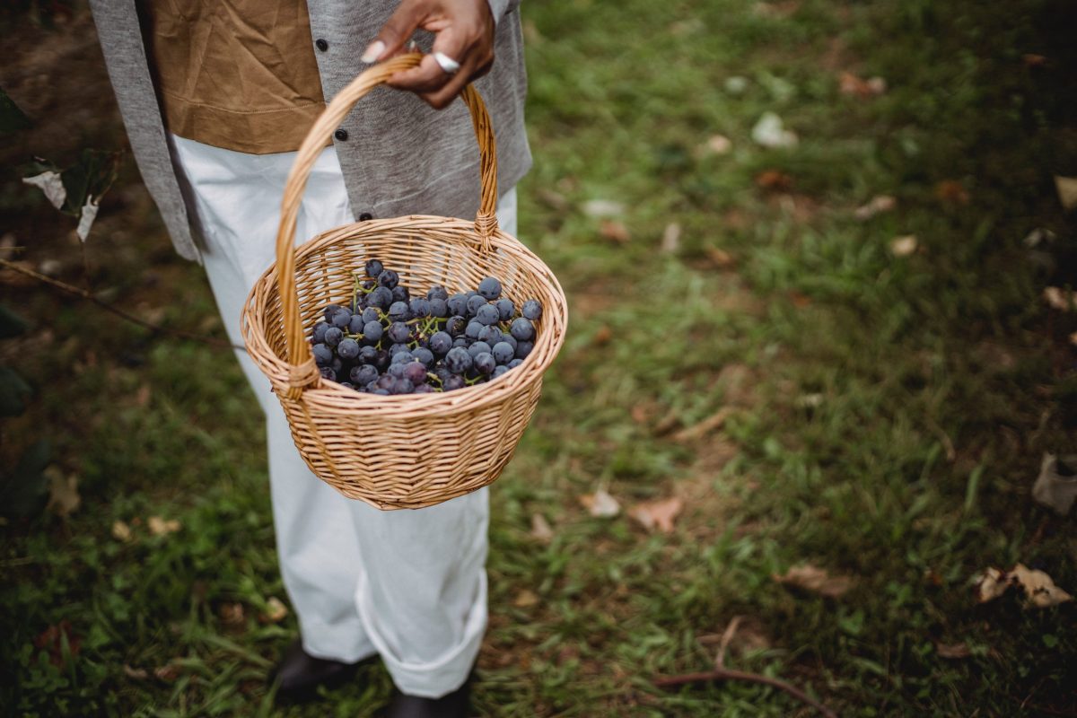 Descubra todos os benefícios do suco de uva natural e comece a consumir ainda hoje