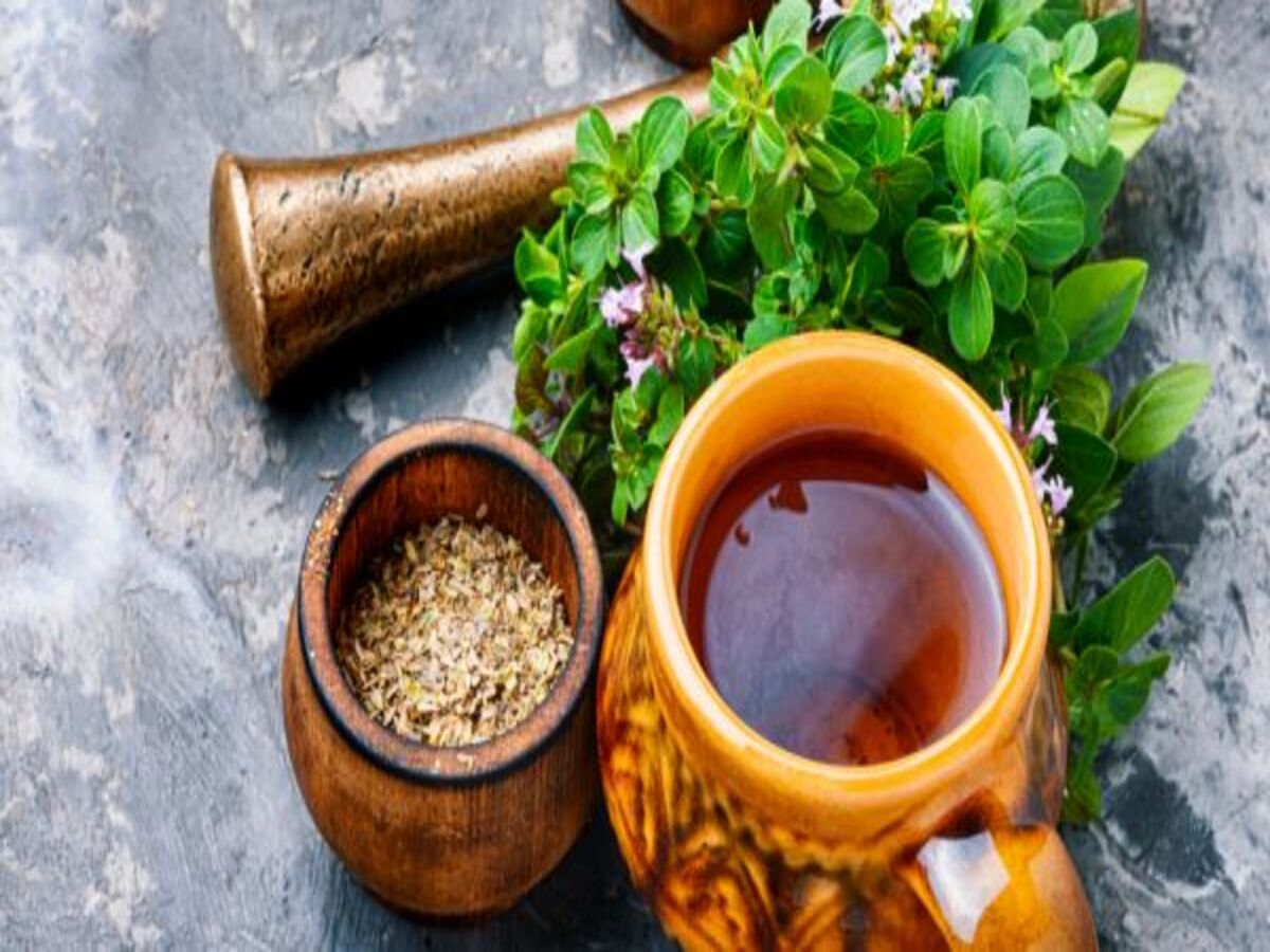 Chá de orégano: como fazer, benefícios e tudo sobre ele para a saúde - Canva