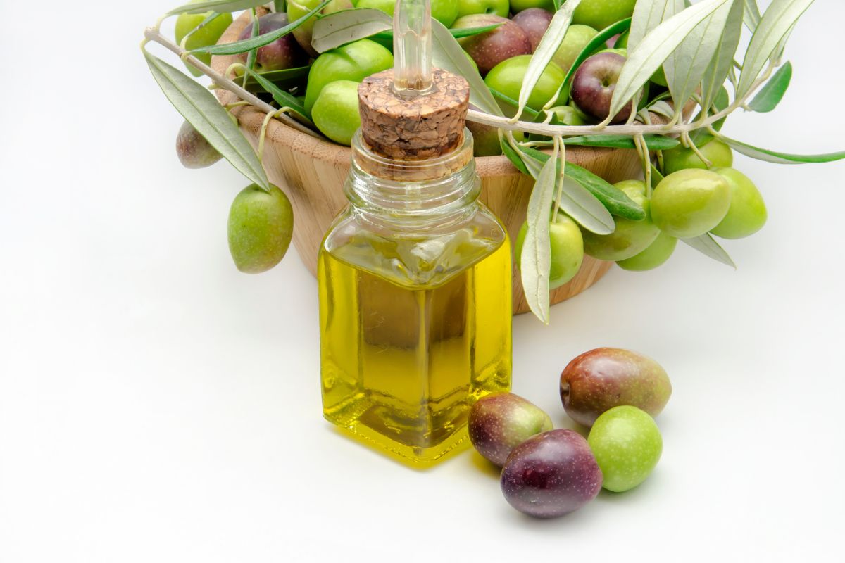 3 óleos vegetais para a aplicação na pele: veja as qualidades de cada um - Reprodução Canva