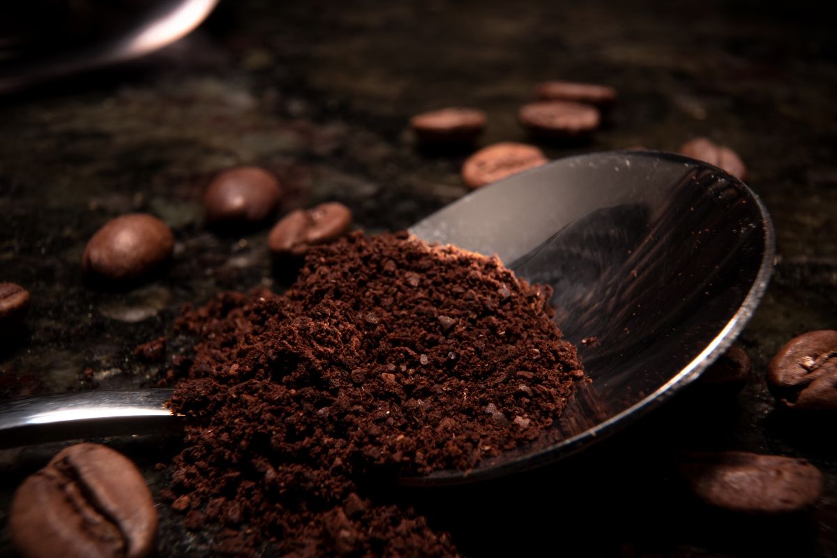 Aprenda a usar borra de café para manter os insetos afastados - fonte: canva