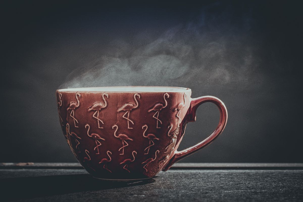 Conheça 4 benefícios que o chá de espinheira santa fornece - Reprodução Canva