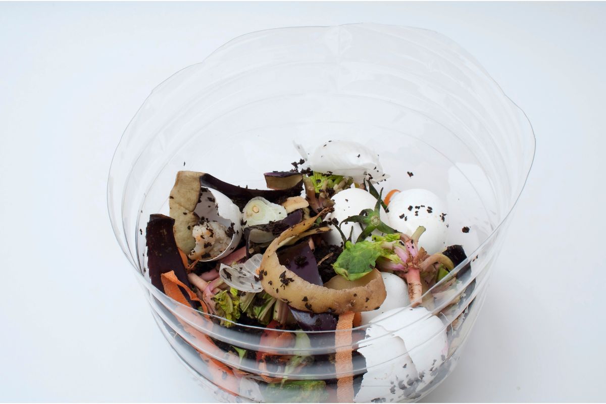 Aprenda a fazer compostagem utilizando um saco plástico - Reprodução Canva