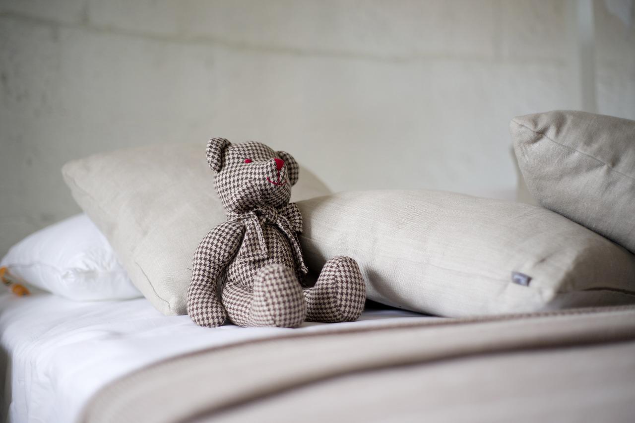 Aprenda a deixar a sua cama confortável para o inverno; confira agora - Pixabay
