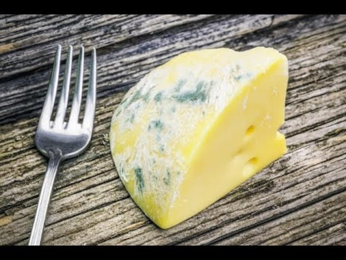 Como saber se o queijo está estragado e mofado? - Canva