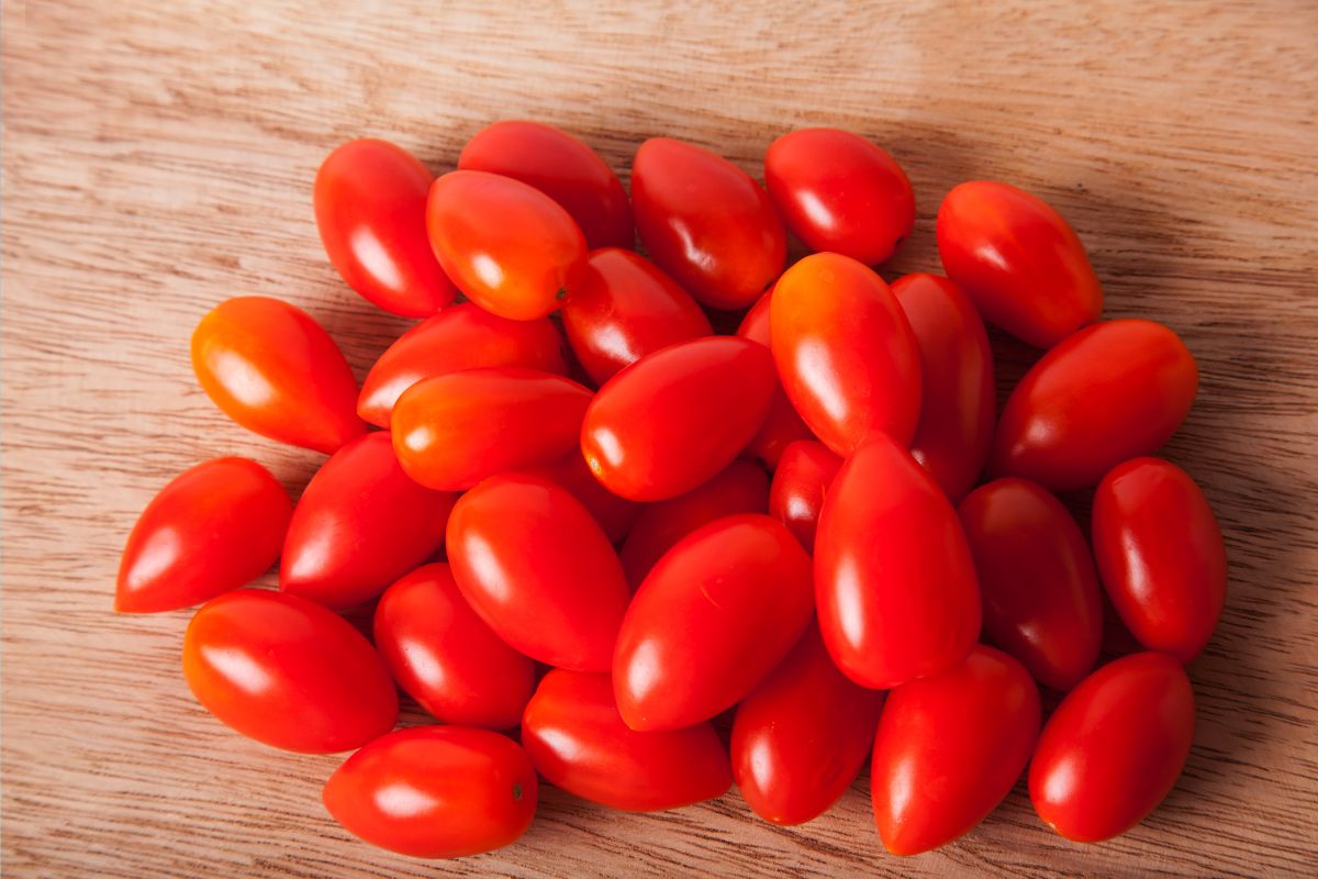 tomate-cereja - canva