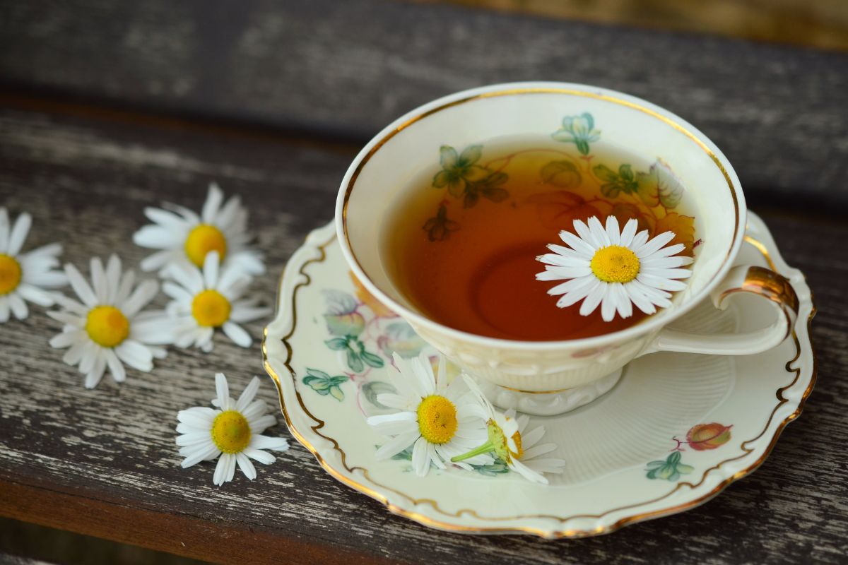 Chá para enjoo e naúseas - Reprodução Canva