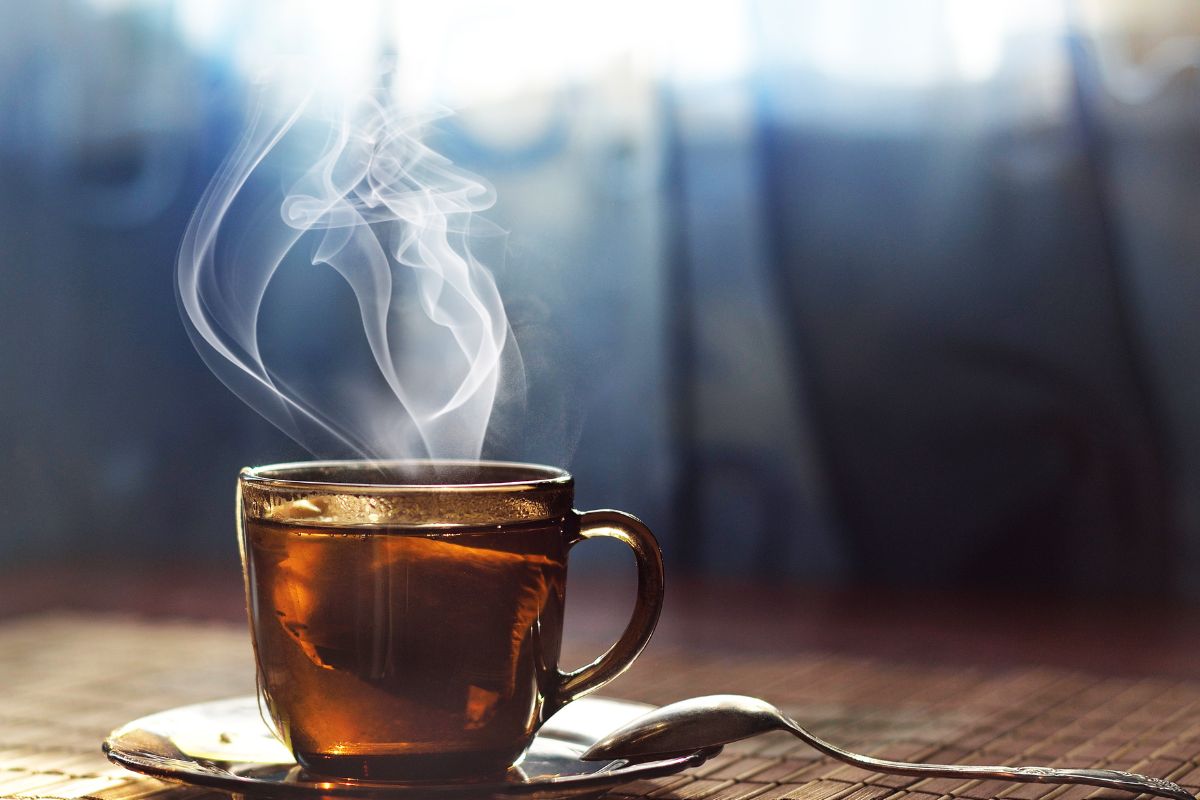 Chá para gastrite - Reprodução Canva