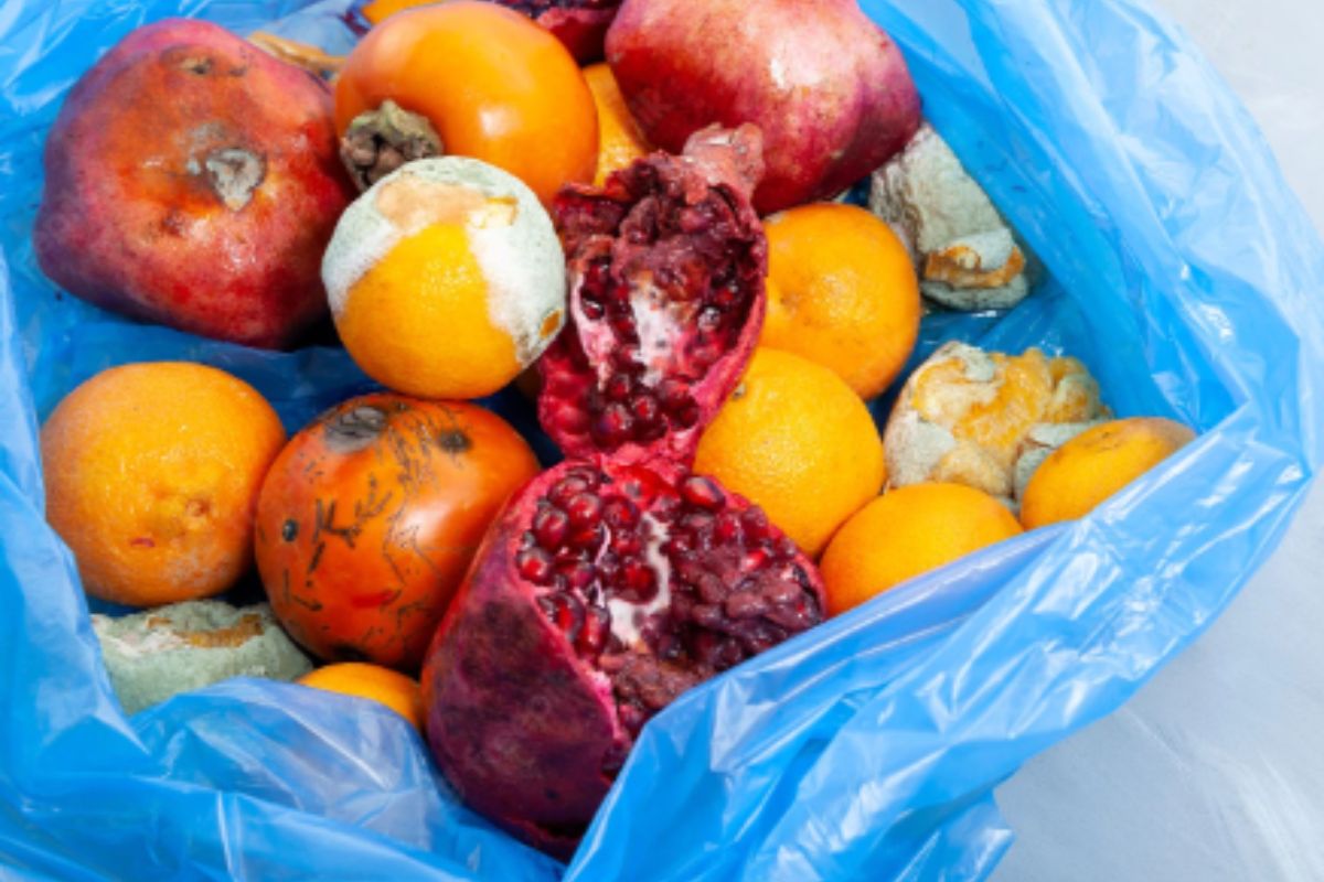 Aprenda a escolher frutas e verduras da maneira correta e evite desperdícios - Foto: Canva