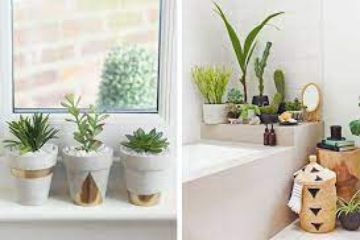 Saiba os benefícios de cultivar plantas dentro do banheiro da sua casa; confira aqui - Foto: Canva