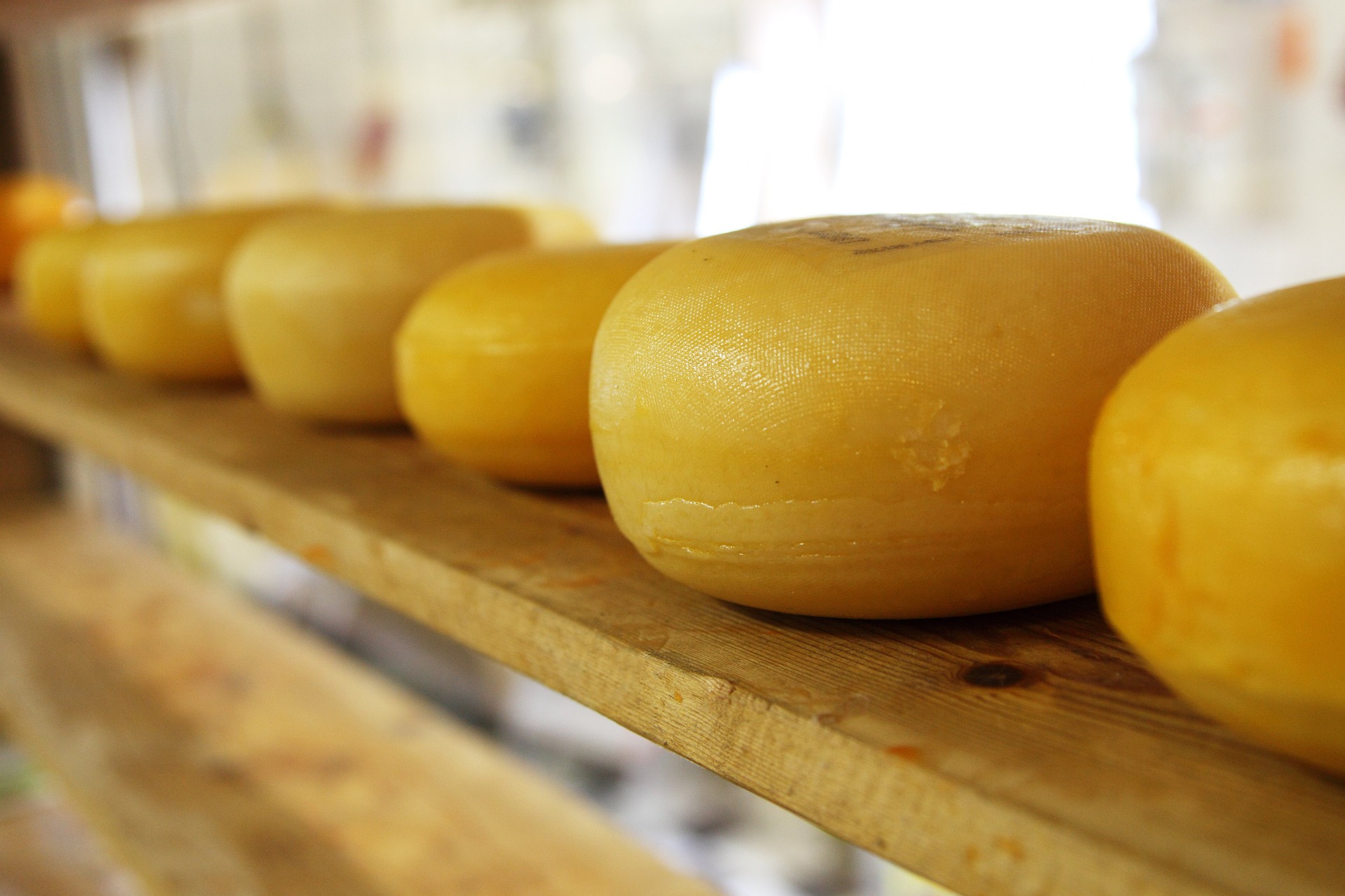 Como impedir o queijo colonial de mofar? Fonte Canva