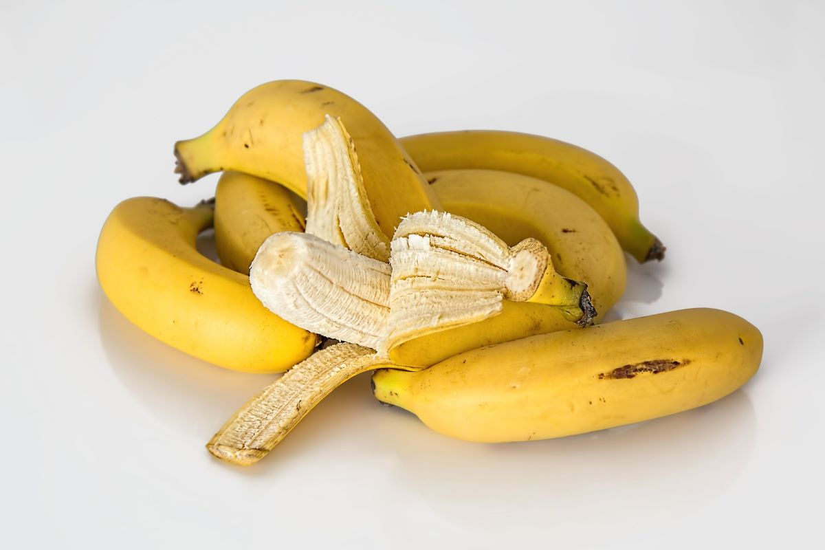 Guardar bananas na geladeira para durar mais é a melhor opção? Confira agora e saiba como ter a fruta madura por mais tempo - Foto: Pixabay