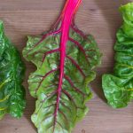 Acelga vai além de ser uma boa hortaliça para salada: contém diversos benefícios, saiba mais - Reprodução: Canva Pro