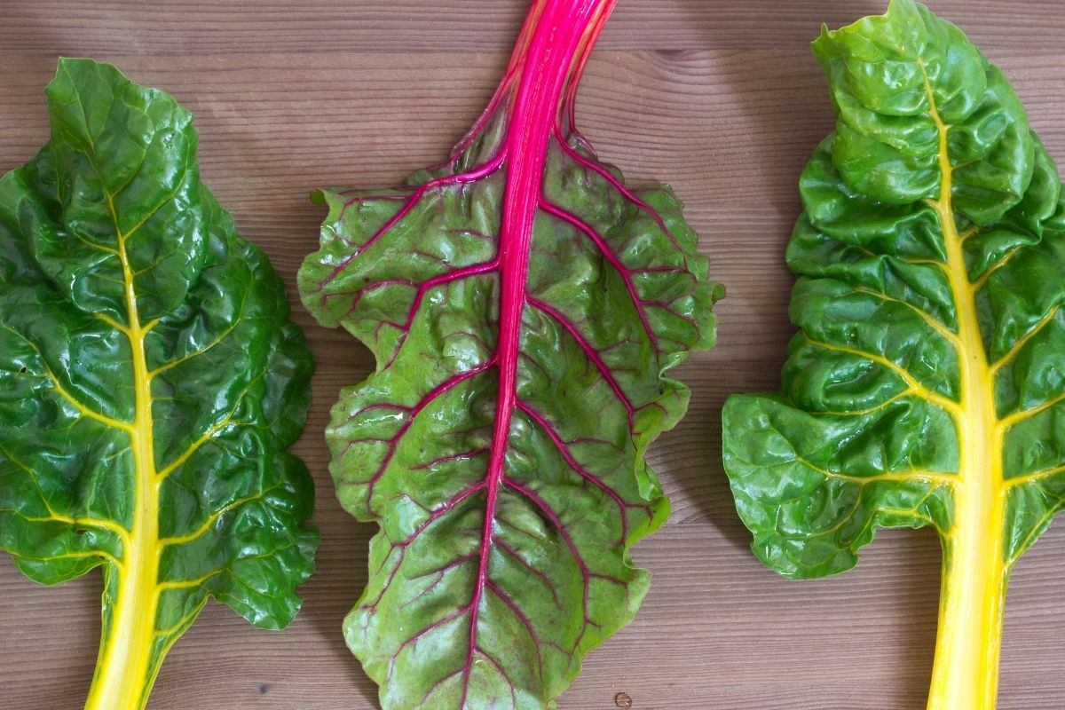 Acelga vai além de ser uma boa hortaliça para salada: contém diversos benefícios, saiba mais - Reprodução: Canva Pro