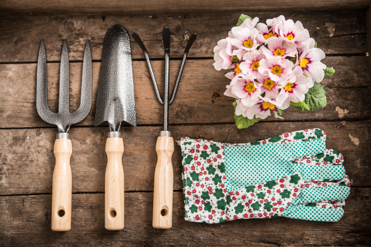 Quais são os materiais para jardinagem? Dicas de 5 ferramentas básicas para cuidar do seu jardim