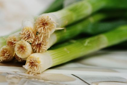 Já ouviu falar do alho-poró? Esse vegetal vendo sendo bastante utilizado na culinária ao redor do mundo como tempero na elaboração de pratos.