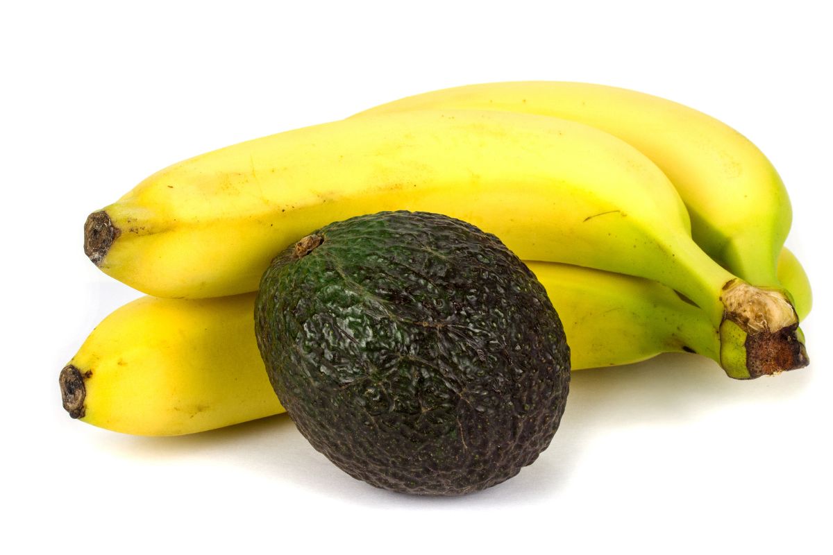Amadurecer o abacate mais rápido; veja dicas para aproveitar a fruta hoje mesmo - Reprodução: Canva Pro 