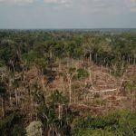 Amazônia legal - Reprodução Instagram