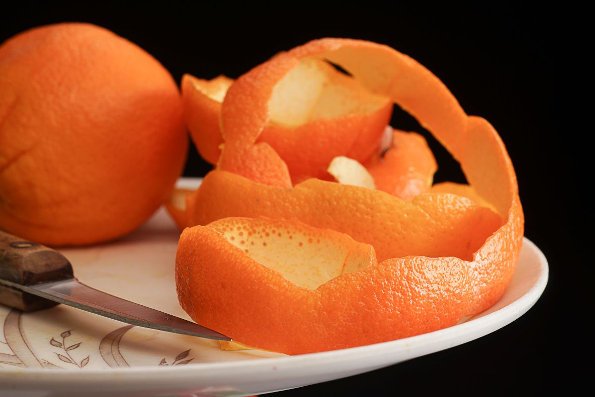 Benefícios da casca da laranja: aprenda a aproveitar essa parte pouco utilizada da fruta - Reprodução: Canva Pro