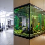 aquário em casa