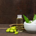 Saiba como utilizar o óleo de neem para combater insetos da horta - fonte: Pixabay