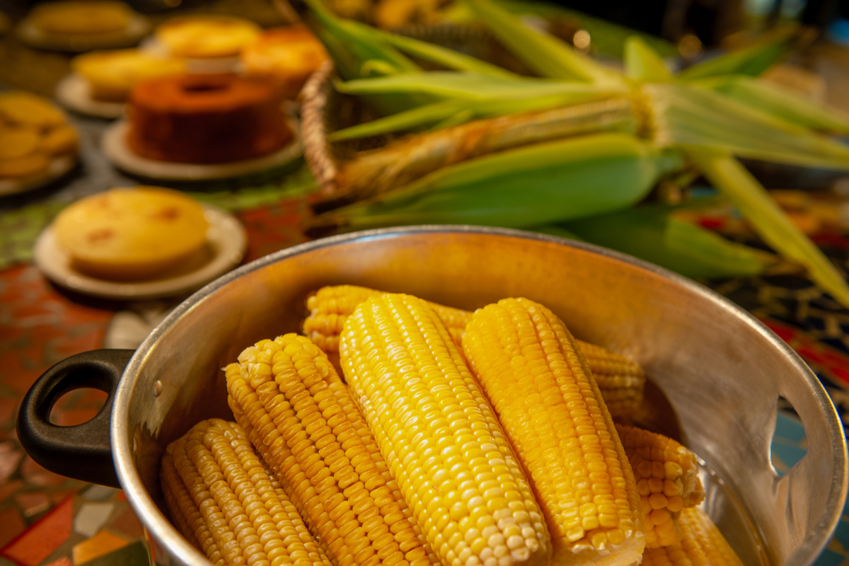 Em época de milho verde, surpreenda-se com seus benefícios e veja dicas de como consumir