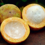 Conheça a fruta bacuri: saiba tudo sobre ela e seus incríveis benefícios para a saúde (Imagem: Pixabay)