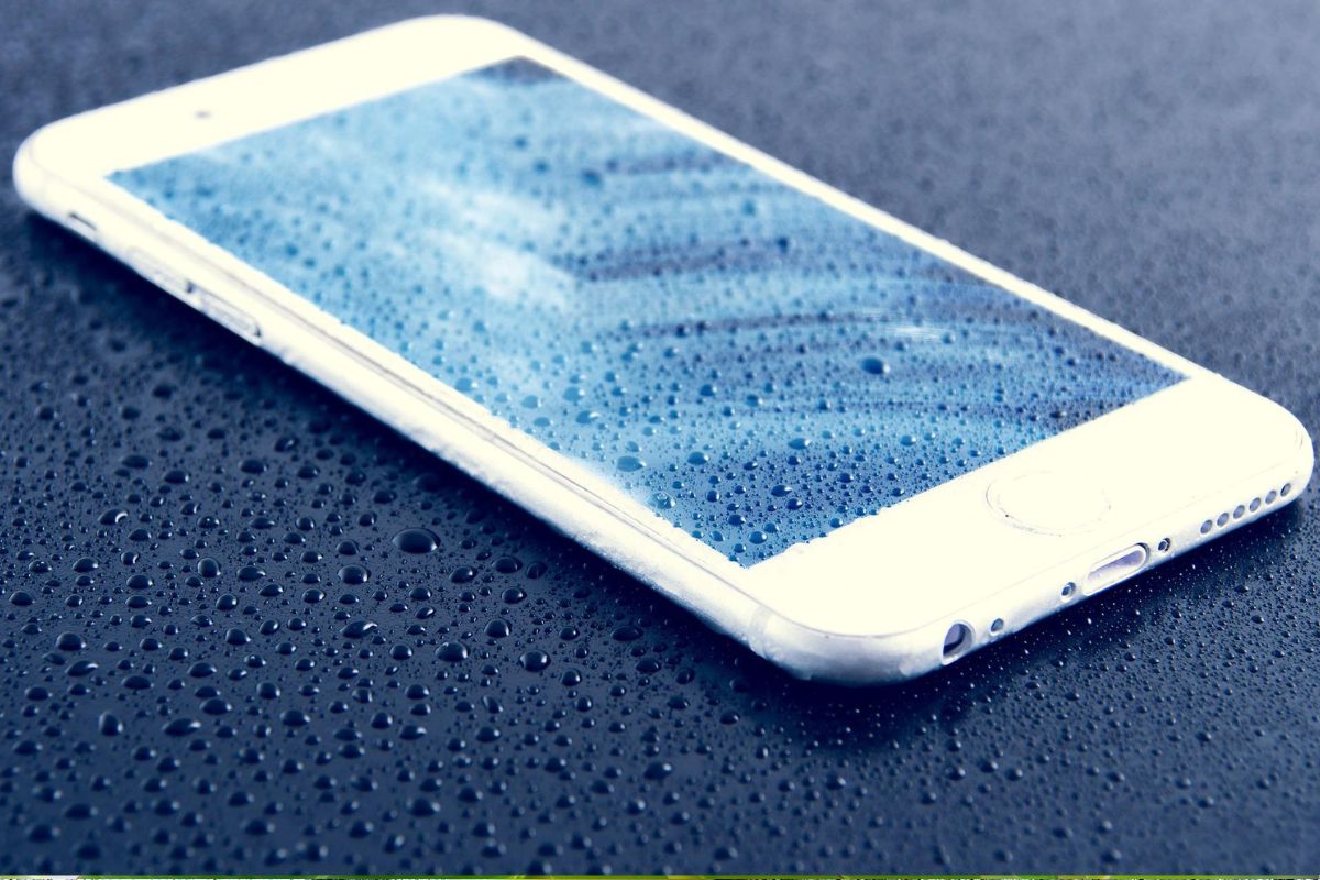Caiu e molhou? veja 3 formas de secar o celular e tentar evitar o pior (Reprodução: Pixabay)