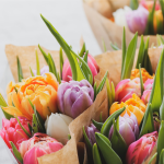 Dicas de flores para os Dia dos Namorados: confira os significados dessas 5 espécies, e a deixe ainda mais apaixonada com sua explicação
