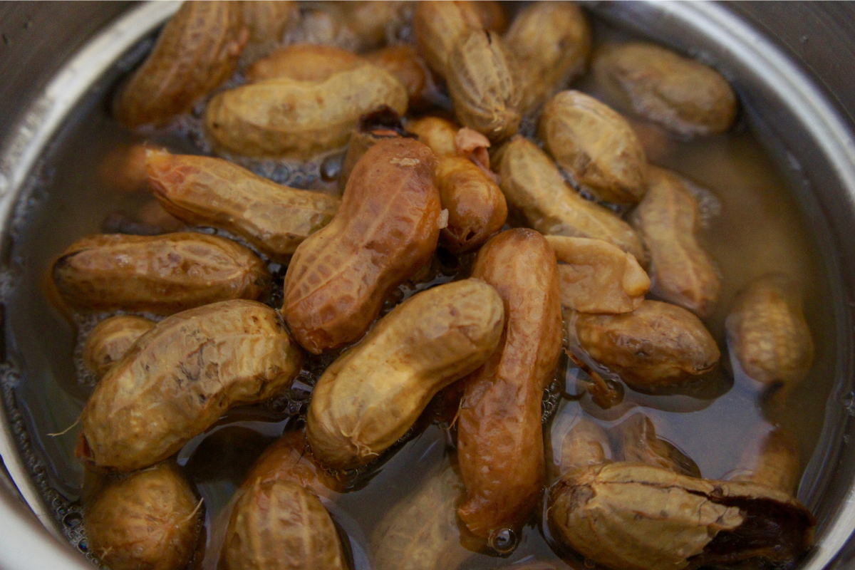 Como cozinhar amendoim com casca na panela de pressão e quanto tempo; confira