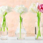 Dicas para decorar vaso de vidro para plantas; além de tudo, é um ótimo hobby